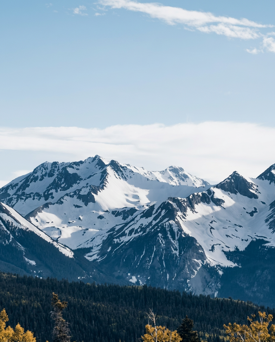 Snow-capped mountain range above an evergreen forest